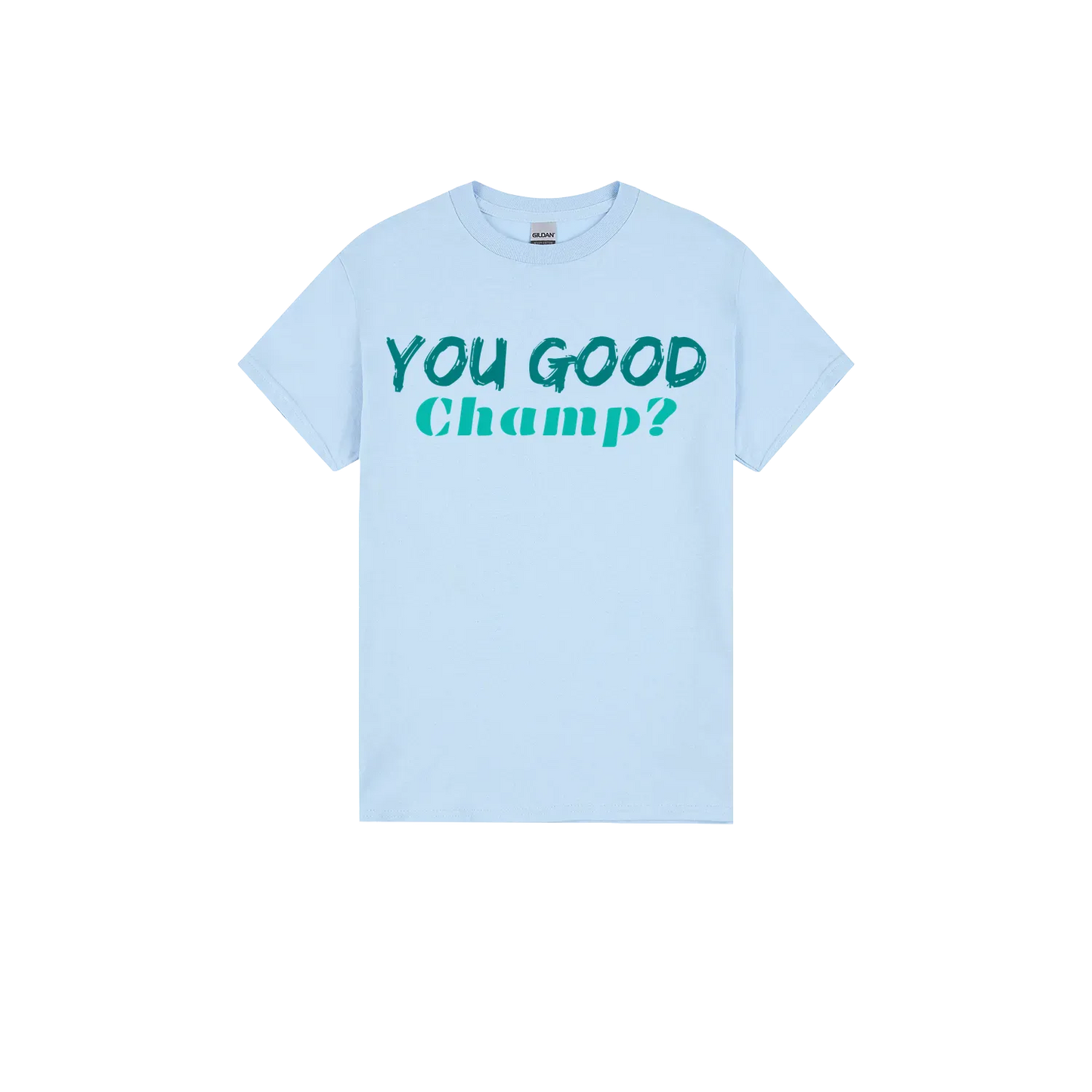 Light Blue front flat lay